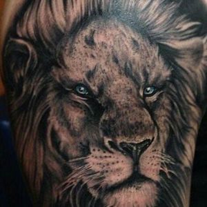 Meet your Posher, Lamar